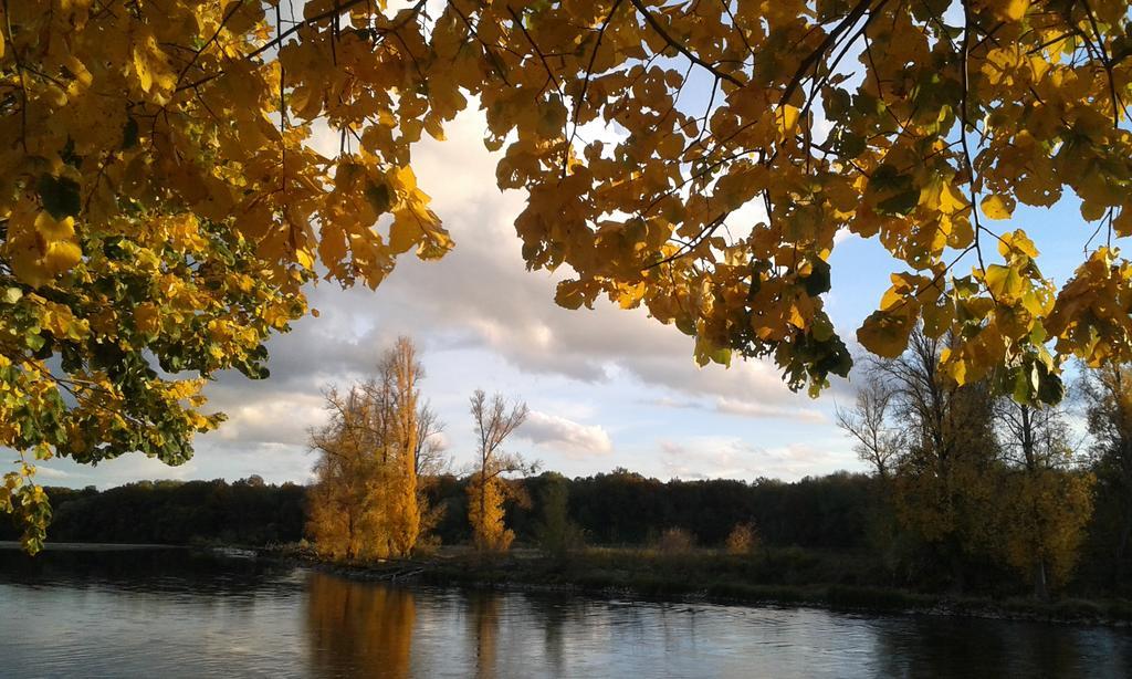 La Chaumiere Bed & Breakfast Ousson-sur-Loire ภายนอก รูปภาพ