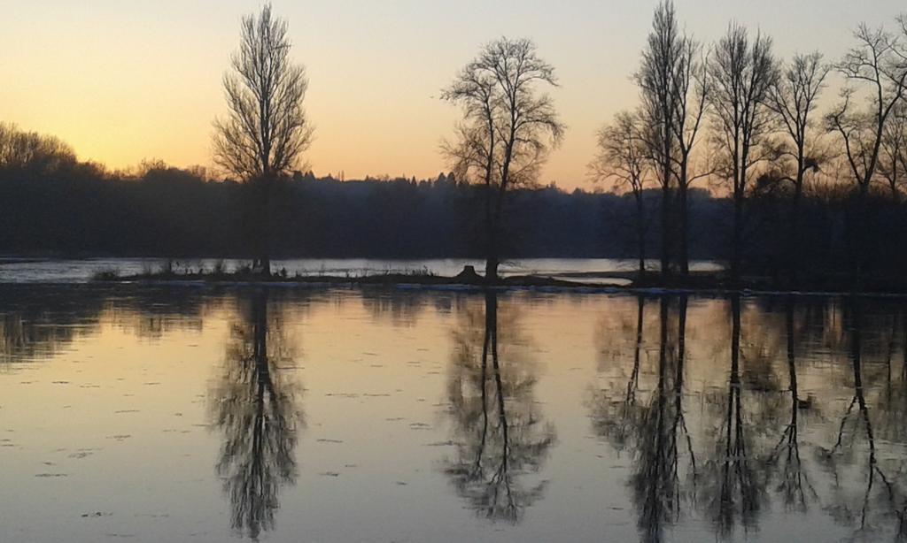 La Chaumiere Bed & Breakfast Ousson-sur-Loire ภายนอก รูปภาพ