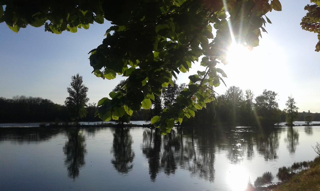 La Chaumiere Bed & Breakfast Ousson-sur-Loire ภายนอก รูปภาพ