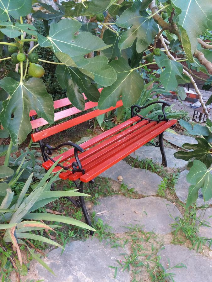 La Chaumiere Bed & Breakfast Ousson-sur-Loire ภายนอก รูปภาพ